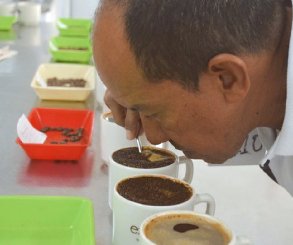 coffee grading